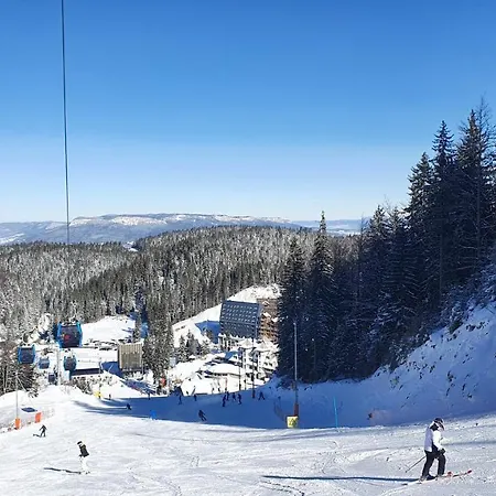 Apartment Olimpijska Kuca *